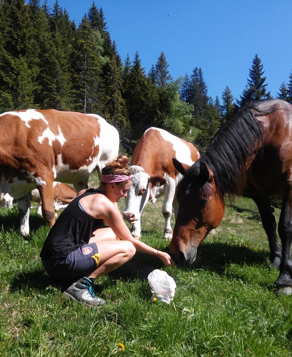 Tiere versorgen | © Biohof Maurachgut / Familie Schuster Eine Frau versorgt die Tiere auf der Alm. | © Biohof Maurachgut / Familie Schuster