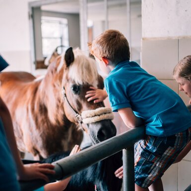 Kinder streicheln ein Pferd im Stall. | © Urlaub am Bauernhof im SalzburgerLand / Daniel Gollner