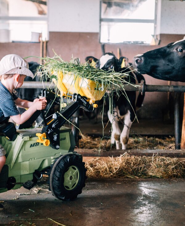 Bub füttert Kühe im Stall | © Urlaub am Bauernhof im SalzburgerLand / Daniel Gollner Ein Bub füttert mit dem Trettraktor die Kühe im Stall. | © Urlaub am Bauernhof im SalzburgerLand / Daniel Gollner