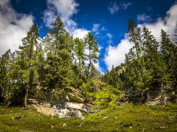 Naturimpression am Pöllitzgut | © Urlaub am Bauernhof im SalzburgerLand / Bernd Suppan