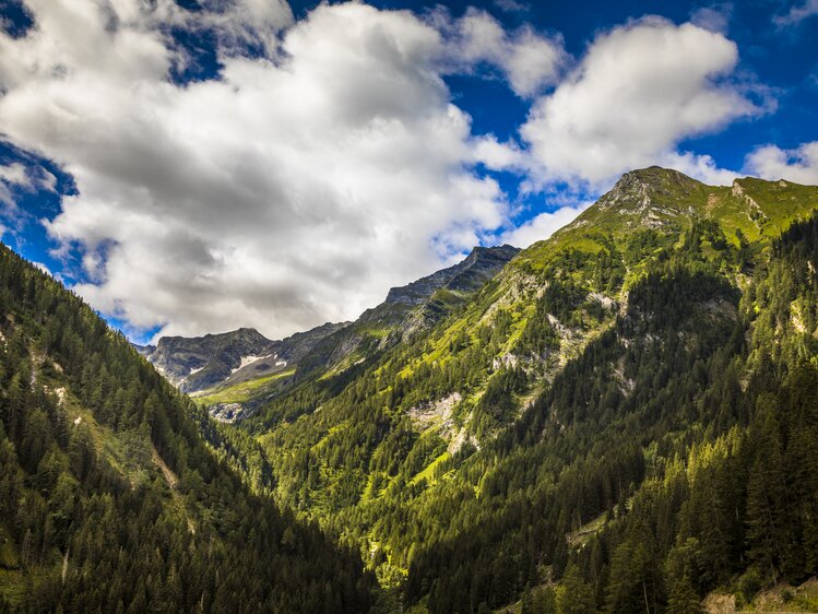 Ausblick in die Berge vom Pöllitzgut in Hintermuhr | © Urlaub am Bauernhof im SalzburgerLand / Bernd Suppan