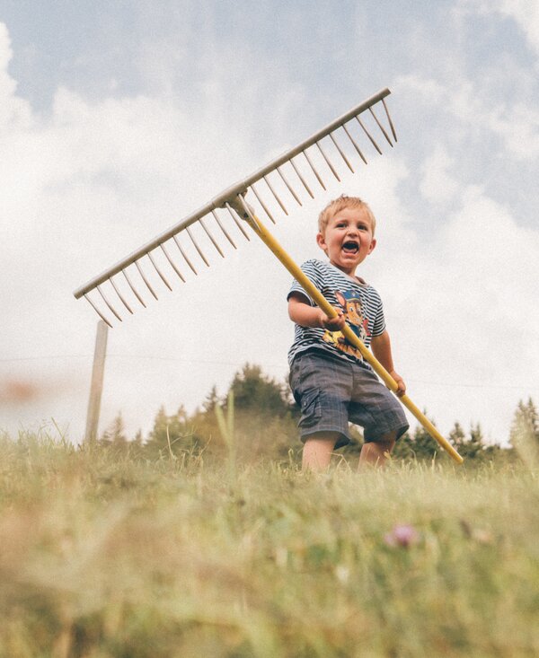 Bub mit Rechen am Feld, Schwabhof in Kleinarl, Salzburger Land | © Urlaub am Bauernhof Salzburger Land / Daniel Gollner Bub mit Rechen am Feld, Schwabhof in Kleinarl, Salzburger Land | © Urlaub am Bauernhof Salzburger Land / Daniel Gollner