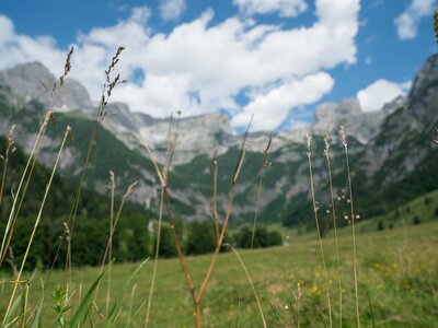 Alm im Tennengebirge | © Urlaub am Bauernhof im SalzburgerLand / Matthias Gruber Alm vom Vorderfrommhof in Werfenweng mit Aussicht auf das Tennengebirge | © Urlaub am Bauernhof im SalzburgerLand / Matthias Gruber