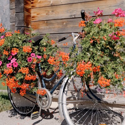 Blumenrad am Sinnlehenhof. | © Daniel Gollner/ Urlaub am Bauernhof im SalzburgerLand.
