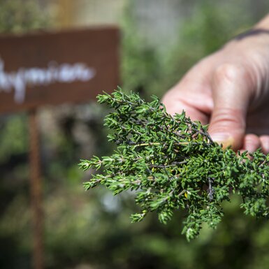 Bauerngarten am Biohof Herzoghof in Leogang, Salzburger Land | © Urlaub am Bauernhof Salzburger Land / Bernd Suppan