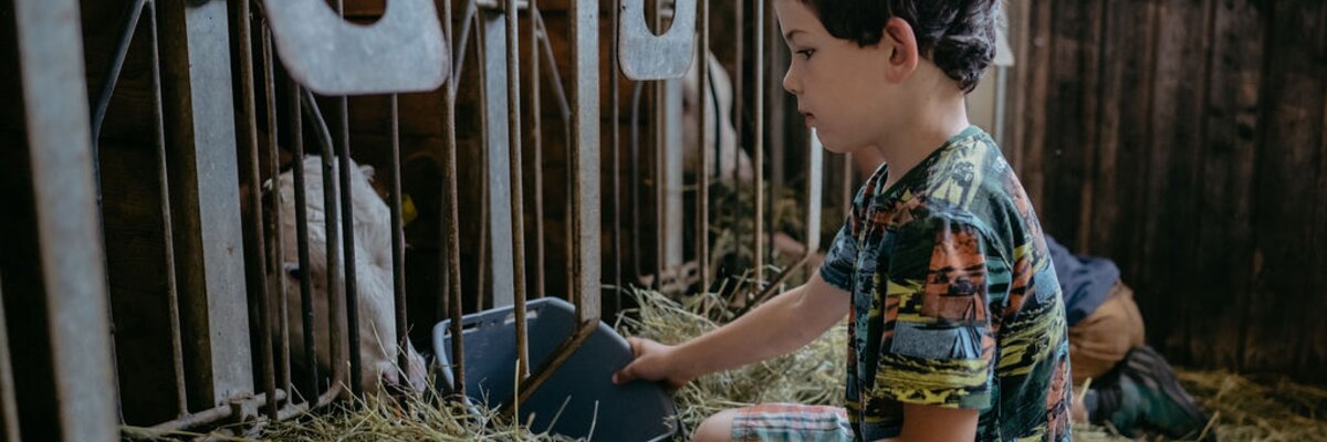 Bub im Heu bei den Kuehen | © Urlaub am Bauernhof/ Nadia Jabli