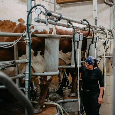 Frau beim Kuehe Melken | © Urlaub am Bauernhof/ Nadja Jabli