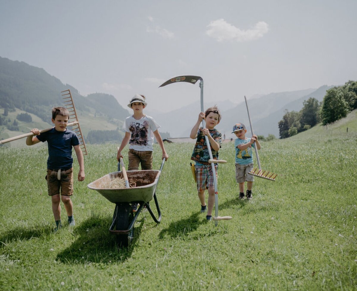 Buben bei der Heuarbeit | © Urlaub am Bauernhof/ Nadja Jabli Buben bei der Heuarbeit | © Urlaub am Bauernhof/ Nadja Jabli