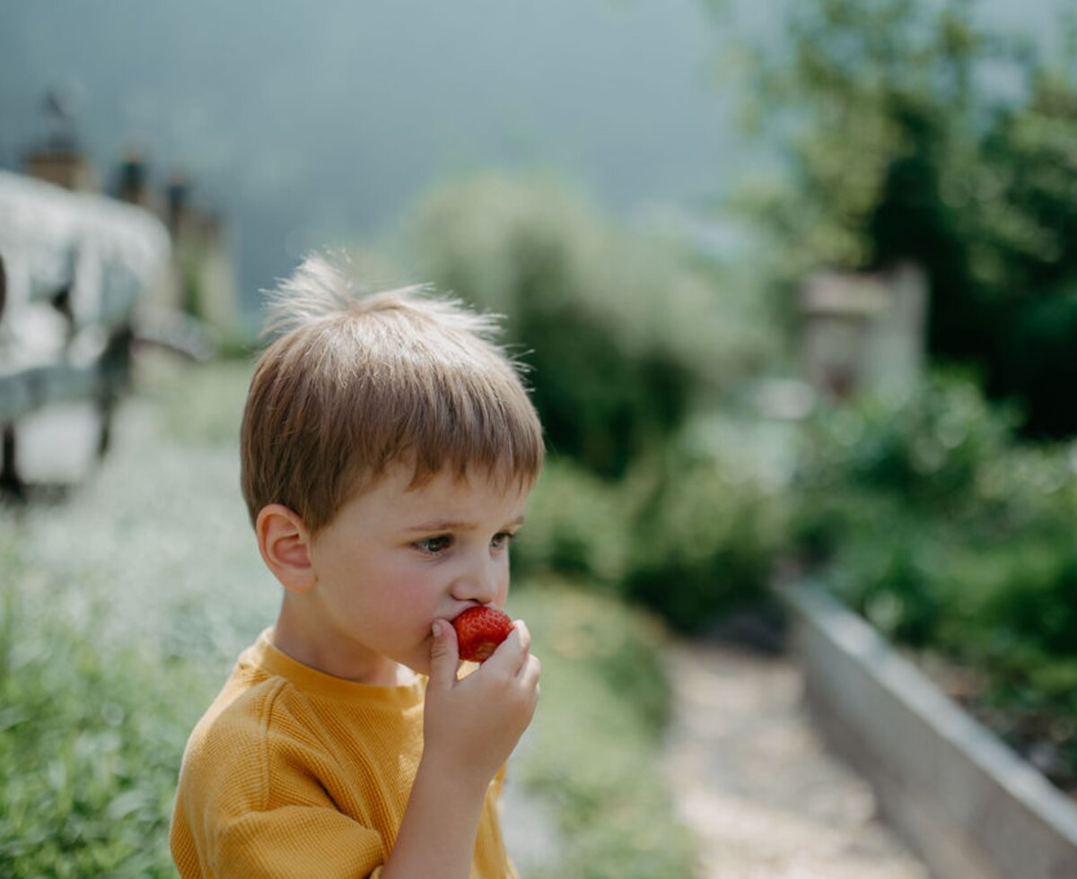 Bub isst Erdbeere | © Urlaub am Bauernhof/ Nadja Jabli Bub isst Erdbeere | © Urlaub am Bauernhof/ Nadja Jabli
