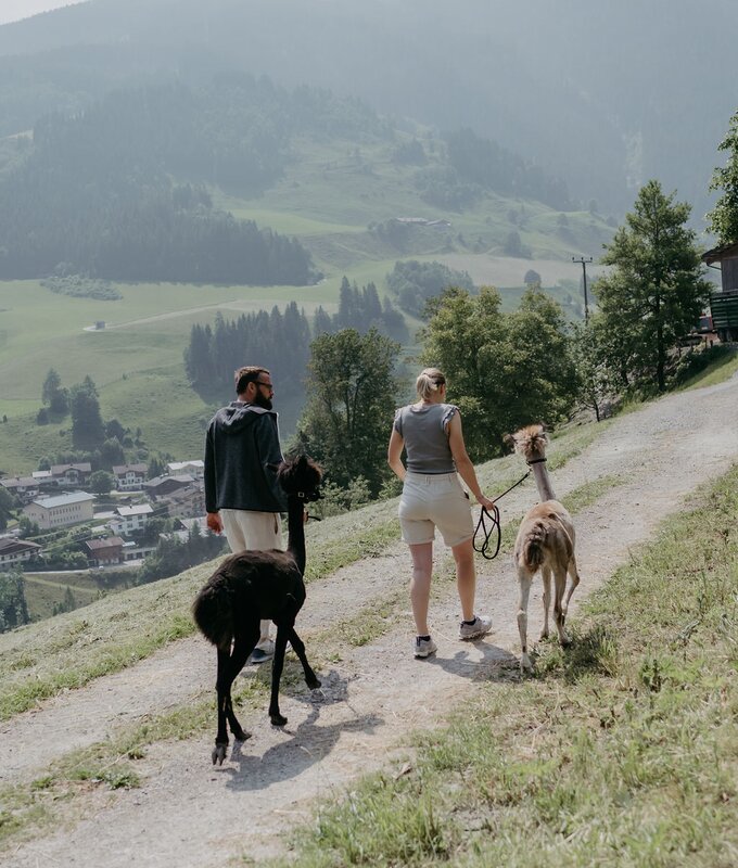 Mann und Frau wandern mit Alpakas | © Urlaub am Bauernhof/ Nadja Jabli