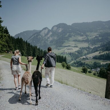Spaziergang mit Alpakas | © Urlaub am Bauernhof/ Nadja Jabli