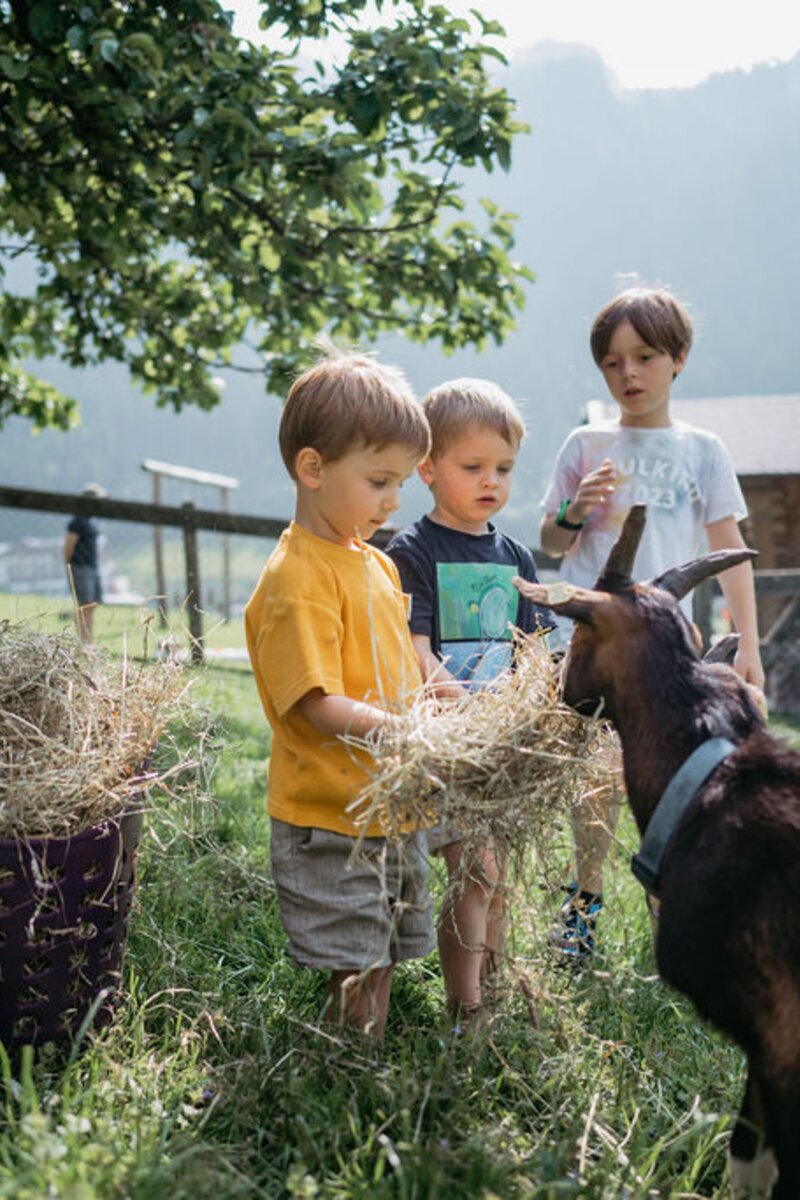 Kinder fuettern Ziege | © Urlaub am Bauernhof/ Nadja Jabli