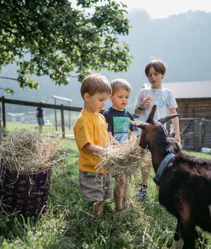 Kinder fuettern Ziege | © Urlaub am Bauernhof/ Nadja Jabli