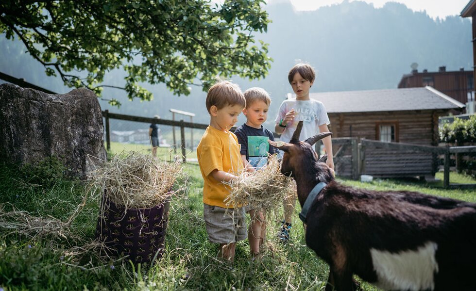 Kinder fuettern Ziege | © Urlaub am Bauernhof/ Nadja Jabli