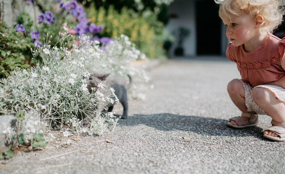 Maedchen betrachtet Katze im Blumenbeet | © Urlaub am Bauernhof/ Nadja Jabli