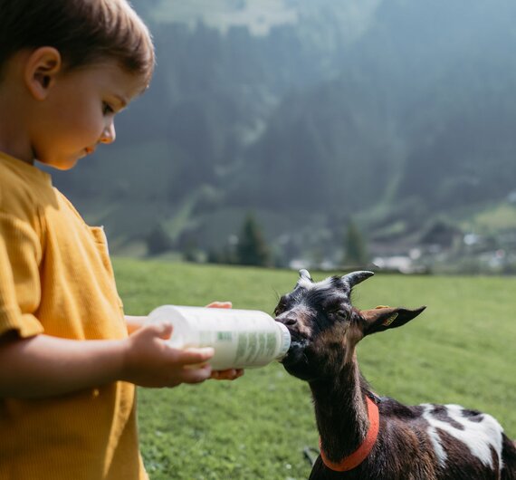 Bub fuettert Ziege mit Flasche | © Urlaub am Bauernhof/ Nadja Jabli