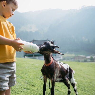Bub fuettert Ziege mit Flasche | © Urlaub am Bauernhof/ Nadja Jabli
