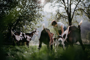 Ziegen im Garten | © Urlaub am Bauernhof / Nadia Jabil