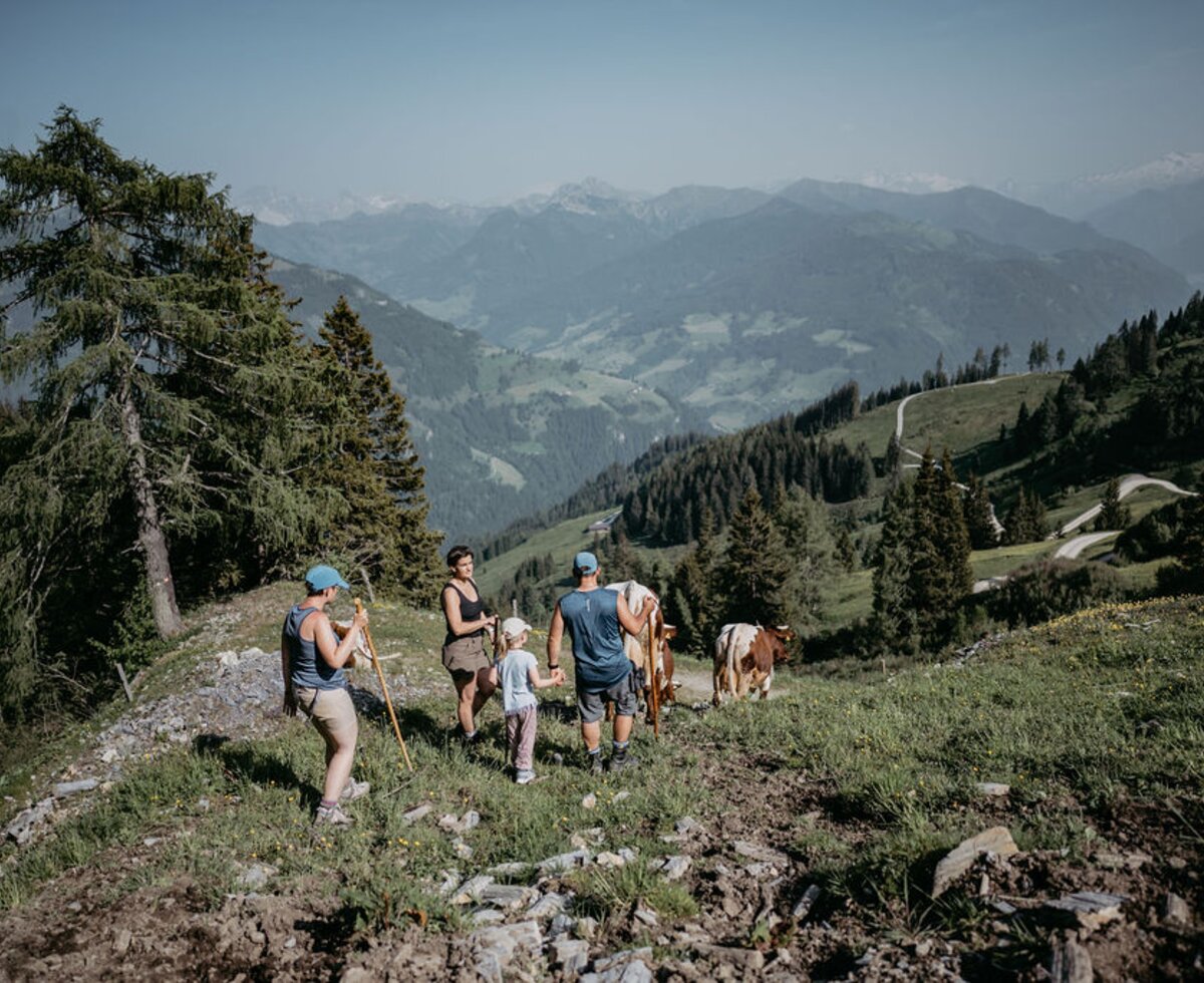 Wanderung auf der Alm | © Urlaub am Bauernhof/ Nadia Jabil Wanderung auf der Alm | © Urlaub am Bauernhof/ Nadia Jabil