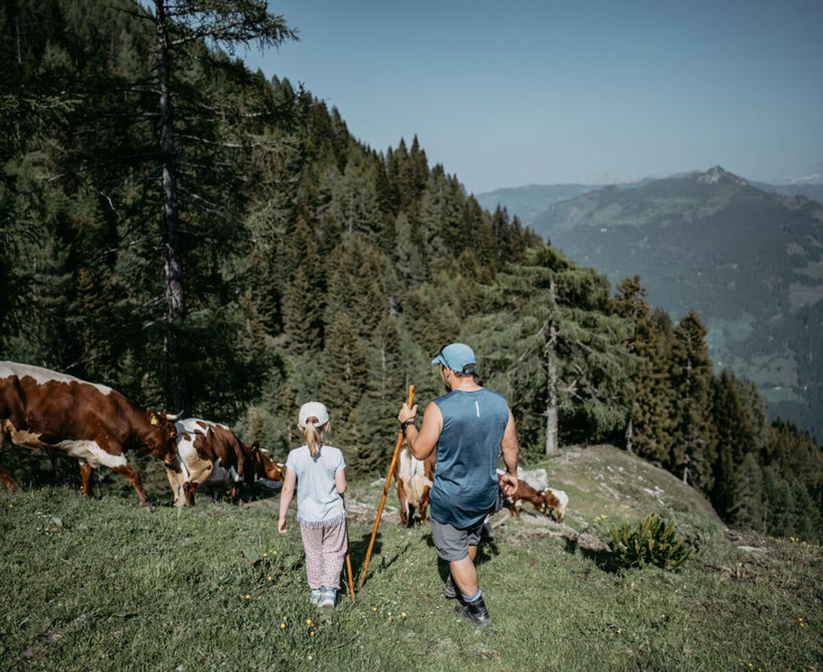 Wanderung auf der Alm | © Urlaub am Bauernhof/ Nadia Jabli Wanderung auf der Alm | © Urlaub am Bauernhof/ Nadia Jabli