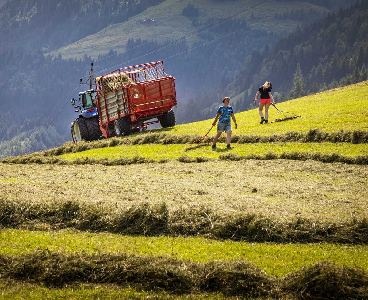 Heuernte mit dem Traktor am Oberhaushof in Mittersill, Salzburger Land | © Urlaub am Bauernhof Salzburger Land / Bernd Suppan Heuernte mit dem Traktor am Oberhaushof in Mittersill, Salzburger Land | © Urlaub am Bauernhof Salzburger Land / Bernd Suppan