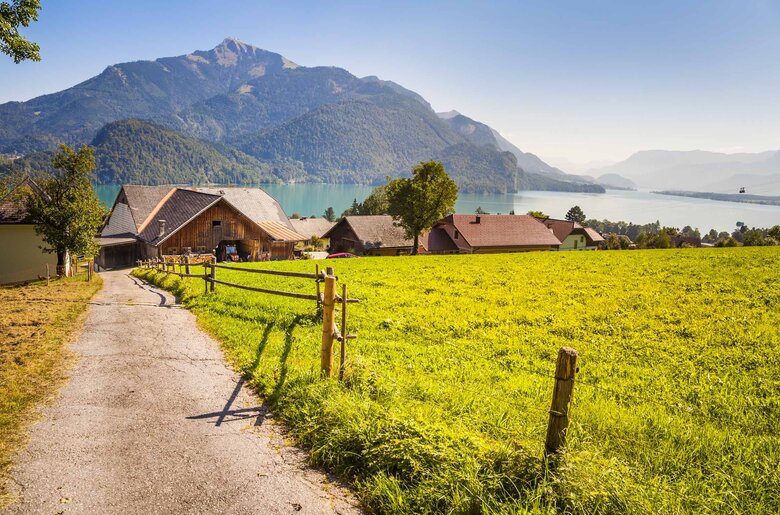 Blick auf den Wolfgangsee vom Eislbauer in St. Gilgen, Salzburger Land | © Urlaub am Bauernhof Salzburger Land / Bernd Suppan