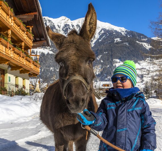 Bub mit Esel im Winter, Zittrauerhof, Gasteinertal, Salzburger Land | © Urlaub am Bauernhof Salzburger Land / Bernd Suppan Bub mit Esel im Winter, Zittrauerhof, Gasteinertal, Salzburger Land | © Urlaub am Bauernhof Salzburger Land / Bernd Suppan