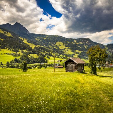 Landschaft im Gasteinertal, Anderlbauer, Salzburger Land | © Urlaub am Bauernhof / Bernd Suppan