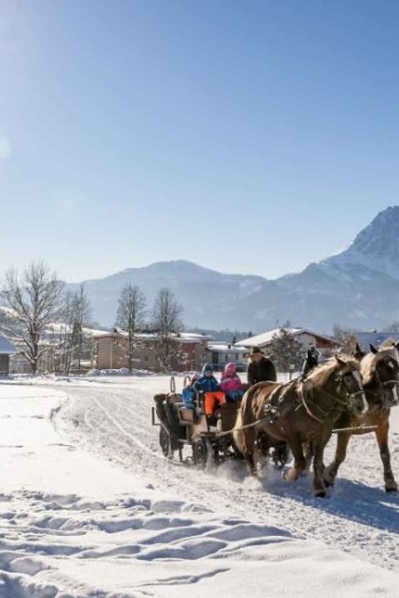 Pferdeschlittenfahrt in Werfenweng, Salzburger Land | © Tourismusverband Werfenweng