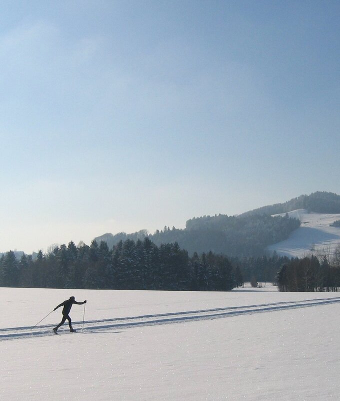 Langlaufen im Salzburger Seenland | © Salzburger Seenland Tourismus Langläufer auf einer Loipe im Salzburger Seenland, im Hintergrund die Hügellandschaft. | © Salzburger Seenland Tourismus