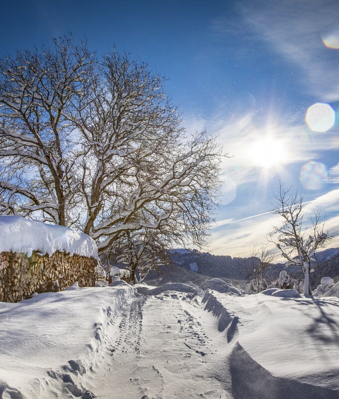 Ausblick vom Schintlbauer in Annaberg. | © Urlaub am Bauernhof im SalzburgerLand/Bernd Suppan