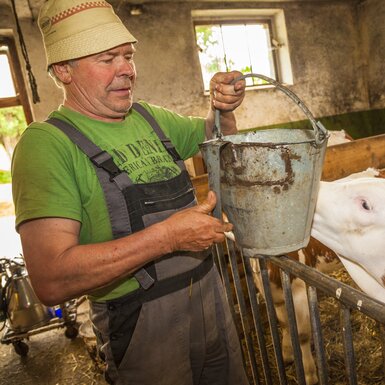 Stall, Bauer beim Kälber füttern, Einberghof in Pfarrwerfen, Salzburger Land | © Urlaub am Bauernhof Salzburger Land / Bernd Suppan