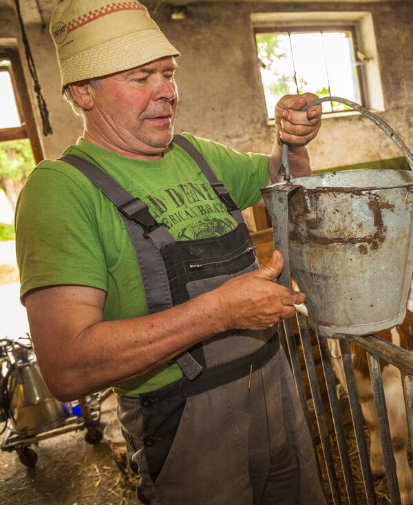 Stall, Bauer beim Kälber füttern, Einberghof in Pfarrwerfen, Salzburger Land | © Urlaub am Bauernhof Salzburger Land / Bernd Suppan