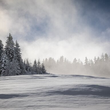 Verschneite Landschaft in der Region Hochkönig. | © Urlaub am Bauernhof SalzburgerLand/ Bernd Suppan