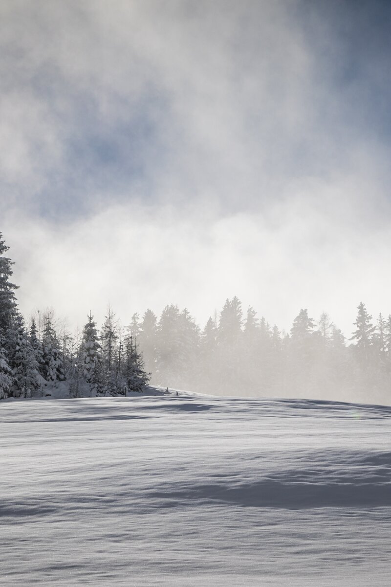 Verschneite Landschaft in der Region Hochkönig. | © Urlaub am Bauernhof SalzburgerLand/ Bernd Suppan