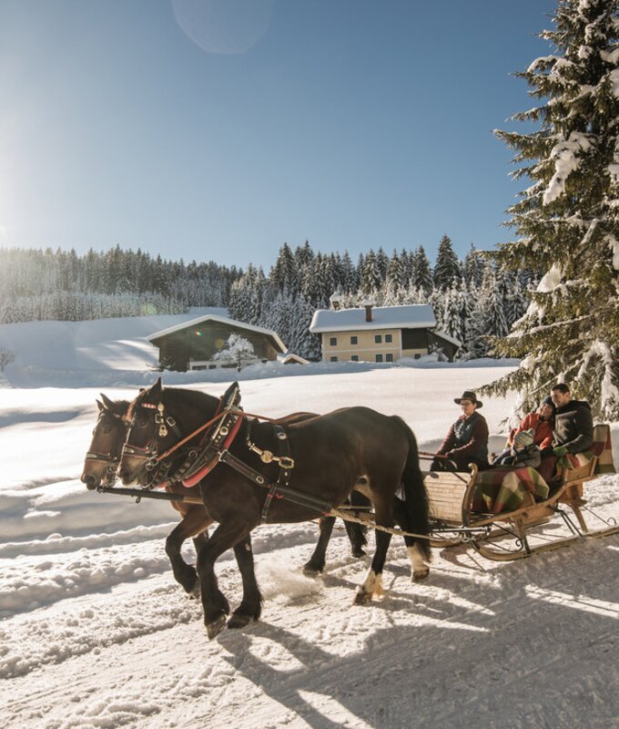 Pferdeschlittenfahrt Salzburger Land | © SalzburgerLand Tourismus/Michael Größinger Pferdeschlittenfahrt Salzburger Land | © SalzburgerLand Tourismus/Michael Größinger