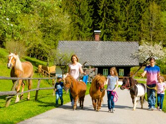 Familienwanderung mit Pferden am Bauernhof, Hochsteiermark, Steiermark | © Urlaub am Bauernhof Steiermark / Wolfgang Spekner