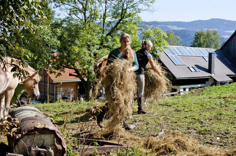 Zwei Frauen holen Heu für die Pferde, Urlaubsregion Murau-Murtal, Steiermark | © Urlaub am Bauernhof Steiermark / Kufferath