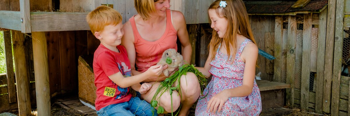 Kinder beim Füttern von Hasen, Steiermark | © Urlaub am Bauernhof Steiermark / Wolfgang Spekner