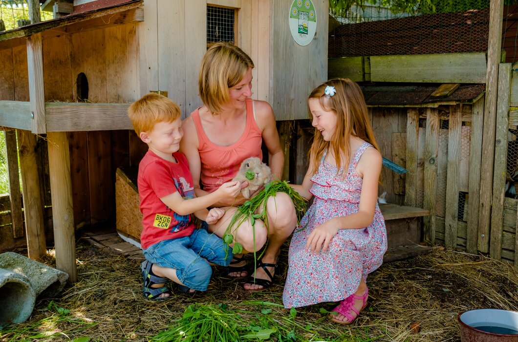 Kinder beim Füttern von Hasen, Steiermark | © Urlaub am Bauernhof Steiermark / Wolfgang Spekner