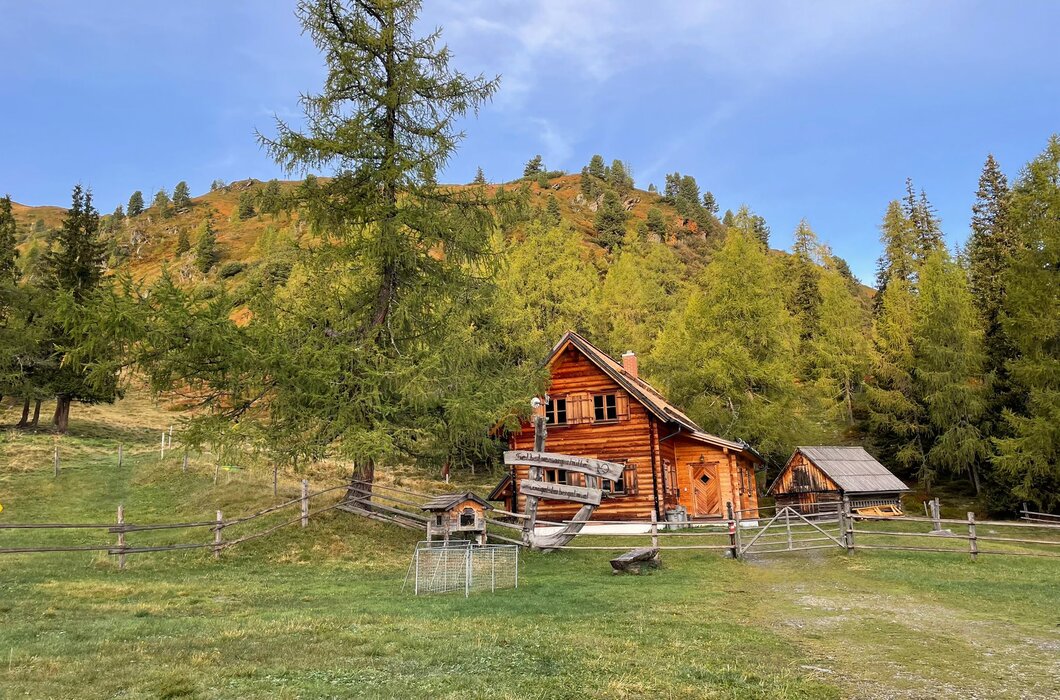 Almhütte aus Holz, umgeben von der Almlandschaft | © Urlaub am Bauernhof Steiermark / Elisabeth Radlingmaier
