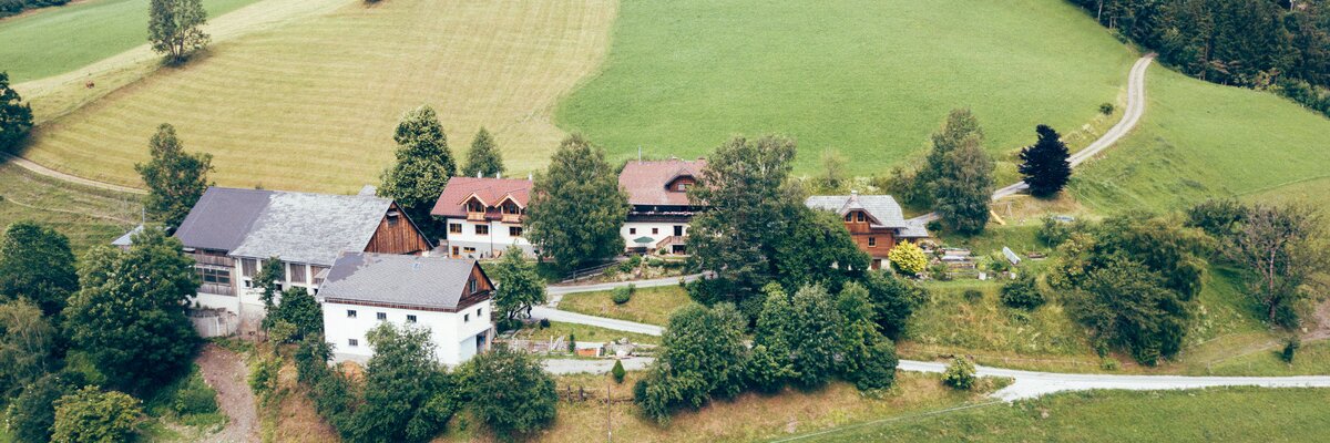 Luftaufnahme eines Bauernhofs mit allen Nebengebäuden und 2 Ferienwohnungen, der auf einem Berghang liegt, umgeben von grünen Wiesen und Wald | © Urlaub am Bauernhof Steiermark / Daniel Gollner
