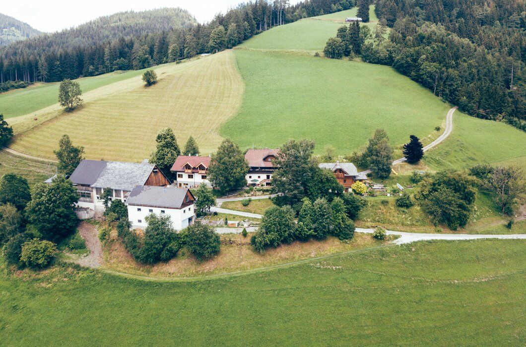 Luftaufnahme eines Bauernhofs mit allen Nebengebäuden und 2 Ferienwohnungen, der auf einem Berghang liegt, umgeben von grünen Wiesen und Wald | © Urlaub am Bauernhof Steiermark / Daniel Gollner
