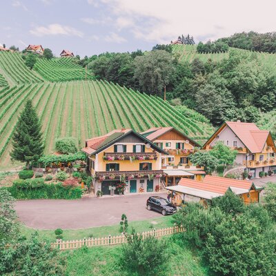 Weinbauernhof mit Buschenschank, die Gebäude sind gelb mit grünen Türen und Balken, Terrasse mit Sitzgelegenheiten, asphaltierter Parkplatz davor, hinter dem Haus erstrecken sich die grünen Weinhänge | © Urlaub am Bauernhof Steiermark / Daniel Gollner