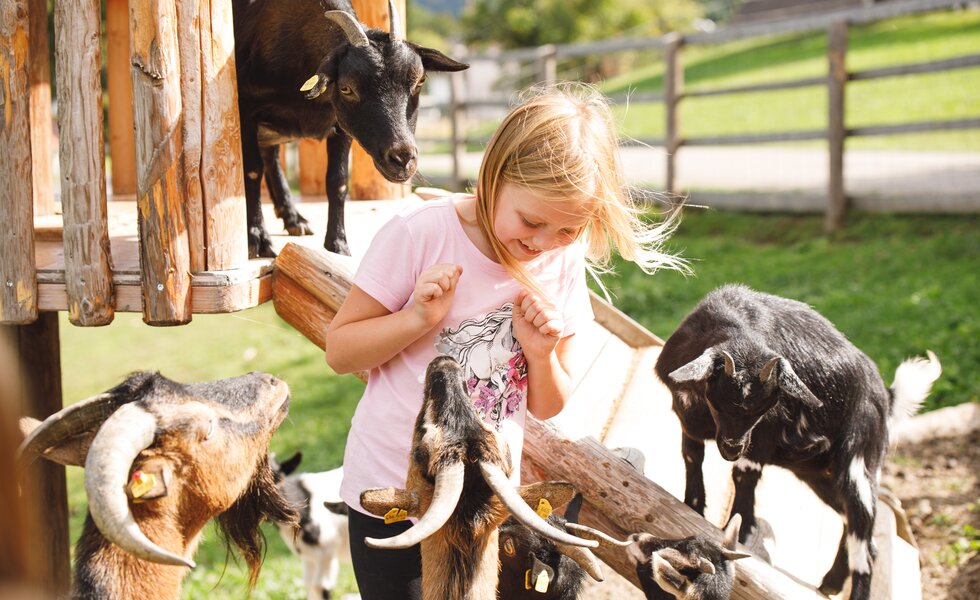 Mädchen bei den Ziegen, Forstbauer, Steiermark | © Urlaub am Bauernhof / Punkt & Komma