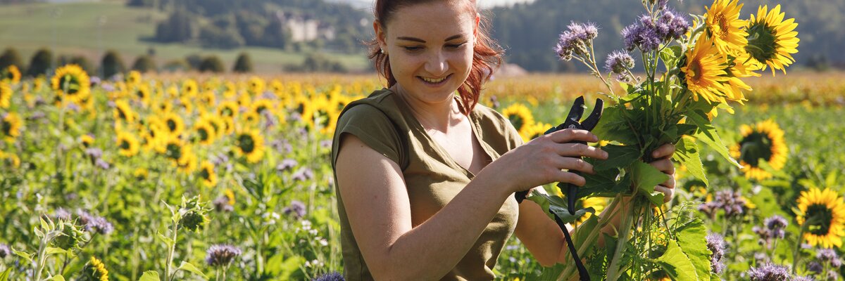 Junge Frau im Sonnenblumenfeld / Forstbauer | © Punkt und Komma