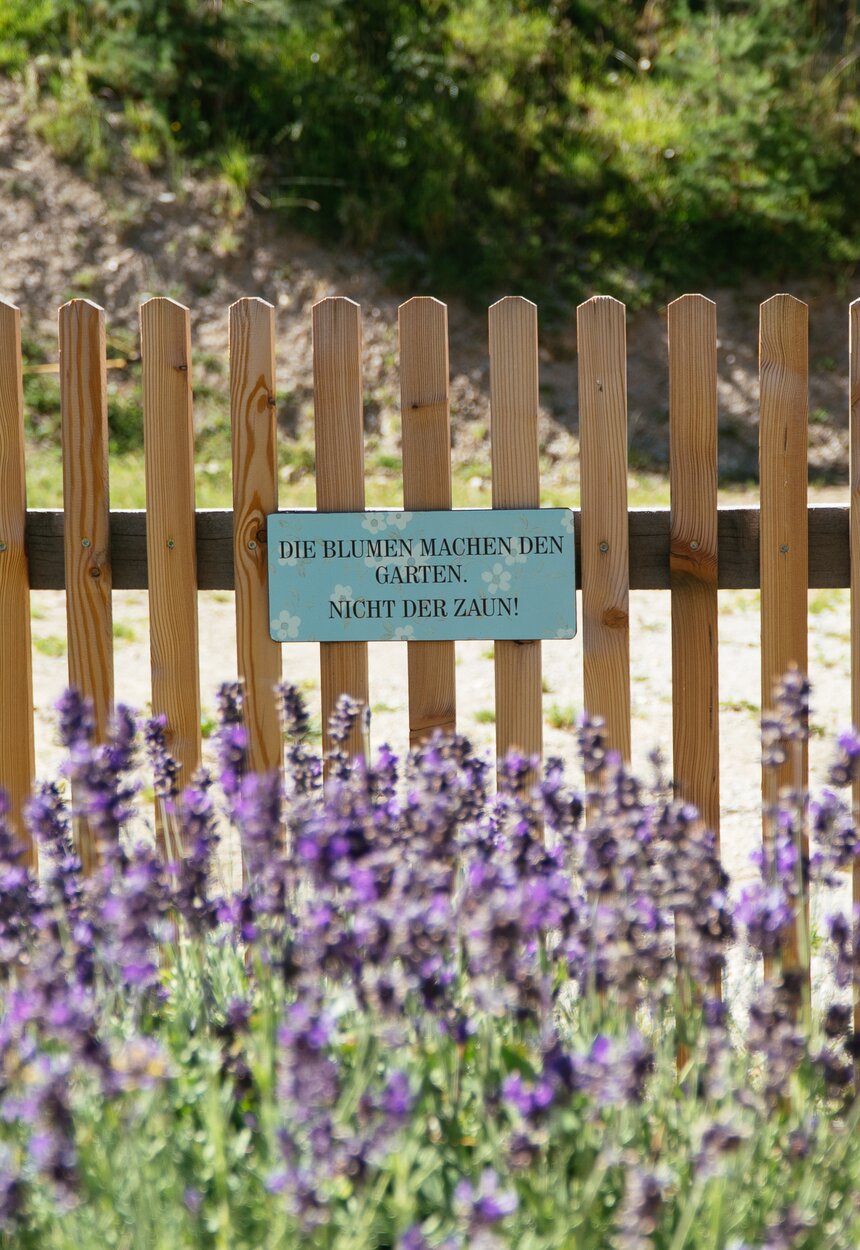 Blühender Lavendel, Biobauernhof Leitenmüller, Steiermark | © Urlaub am Bauernhof Steiermark / Daniel Gollner