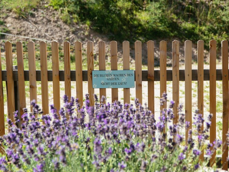 Blühender Lavendel, Biobauernhof Leitenmüller, Steiermark | © Urlaub am Bauernhof Steiermark / Daniel Gollner