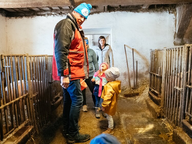 Zwei kleine Kinder sind mit ihren Müttern und dem Bauern im Schweinestall, um die Tiere zu füttern | © Urlaub am Bauernhof Steiermark / Daniel Gollner