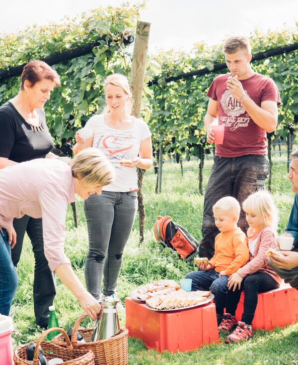 Lesepause, Peiserhof, Steiermark | © Urlaub am Bauernhof Steiermark / Daniel Gollner Menschen bei der Lesepause im Weingarten, Peiserhof, Steiermark | © Urlaub am Bauernhof Steiermark / Daniel Gollner